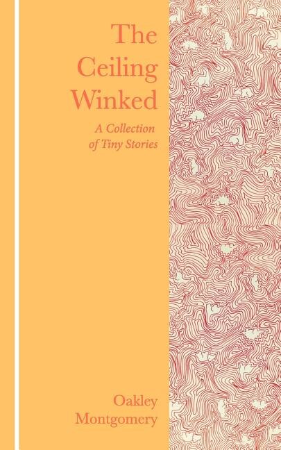 Couverture_The Ceiling Winked