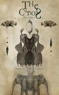 Front cover_The Curious Artifact