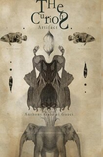 Front cover_The Curious Artifact Lmt hard back edition