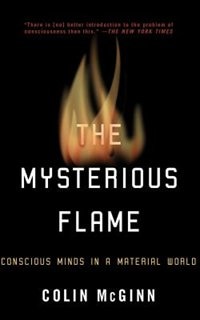 Front cover_The Mysterious Flame