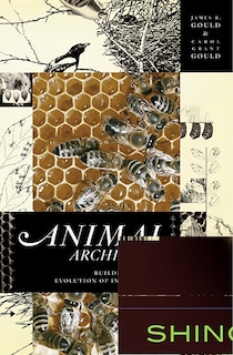 Couverture_Animal Architects