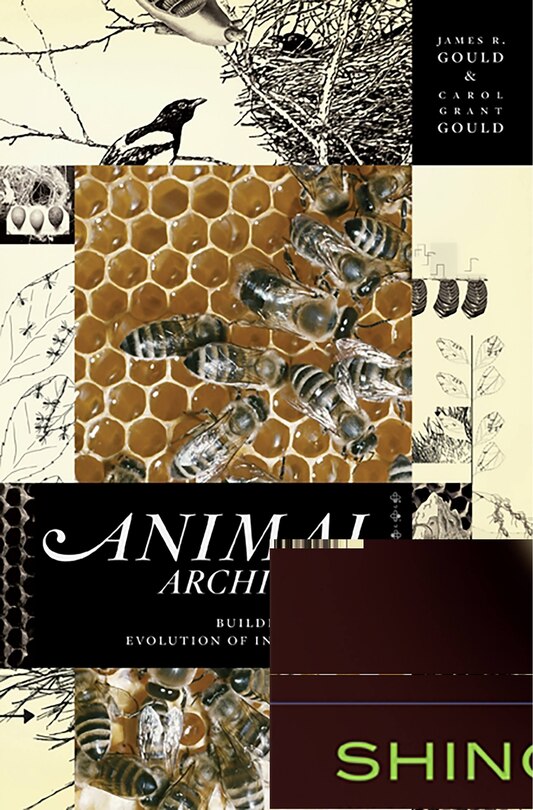 Couverture_Animal Architects