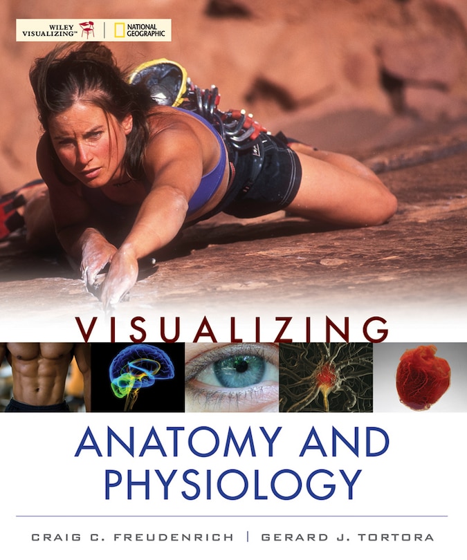 Couverture_Visualizing Anatomy and Physiology