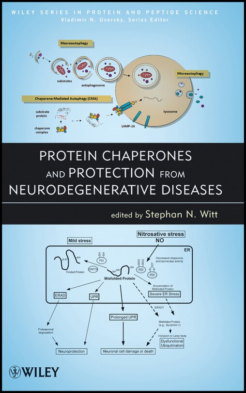 Front cover_Protein Chaperones and Protection from Neurodegenerative Diseases