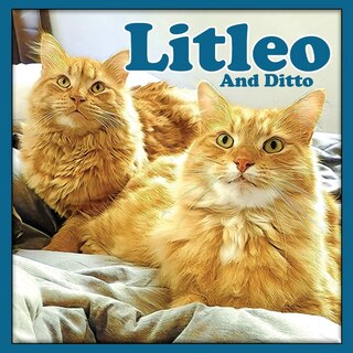 Couverture_Litleo And Ditto