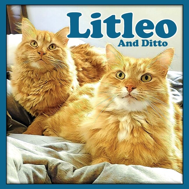 Couverture_Litleo And Ditto