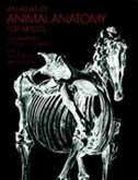 An Atlas Of Animal Anatomy For Artists