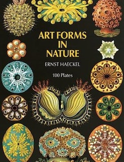 Front cover_Art Forms In Nature
