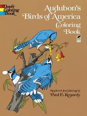 Front cover_Audubon's Birds of America Coloring Book