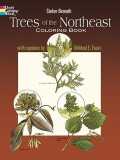 Front cover_Trees Of The Northeast Coloring Book