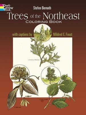 Front cover_Trees Of The Northeast Coloring Book