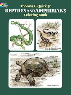 Front cover_Reptiles And Amphibians Coloring Book