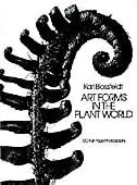Front cover_Art Forms in the Plant World