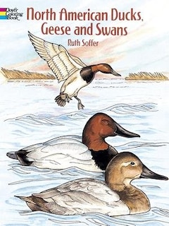 Front cover_North American Ducks, Geese and Swans Coloring Book
