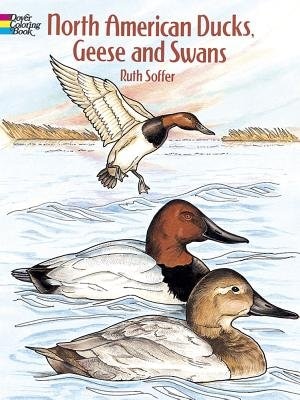 Front cover_North American Ducks, Geese and Swans Coloring Book