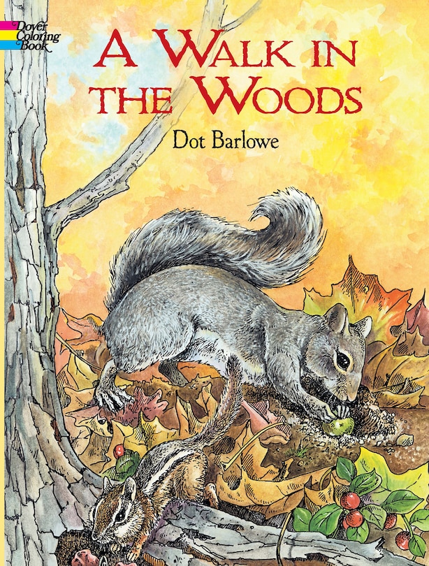 Front cover_A WALK IN THE WOODS COLORING BOOK