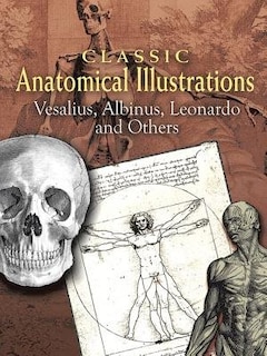 Classic Anatomical Illustrations: Vesalius, Albinus, Leonardo and Others