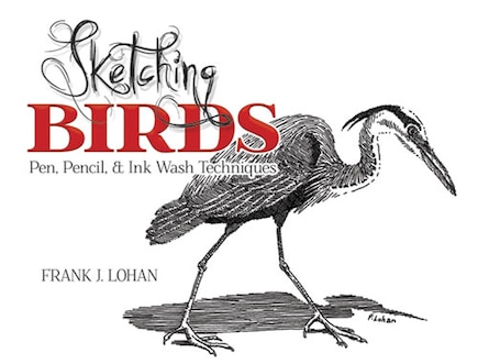 Sketching Birds: Pen, Pencil, and Ink Wash Techniques