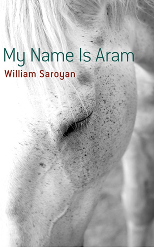 Couverture_My Name Is Aram