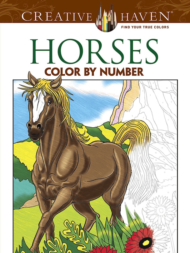 Front cover_Horses Color by Number Coloring Book