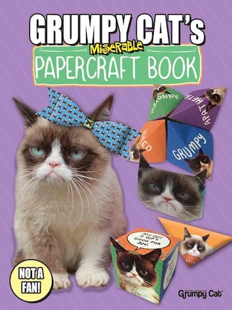 Grumpy Cat's Miserable Papercraft Book