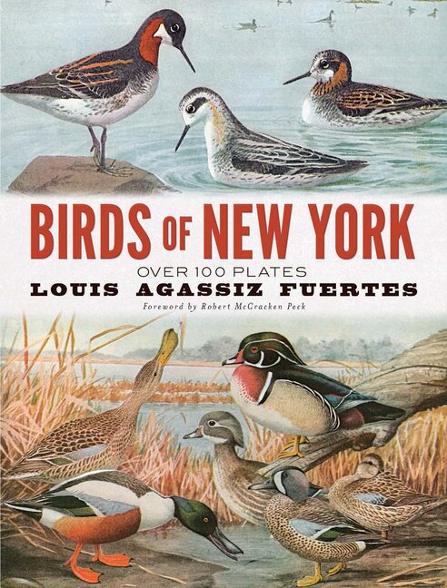 Couverture_Birds of New York