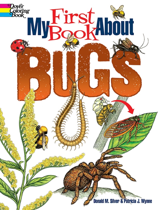 Couverture_My First Book about Bugs