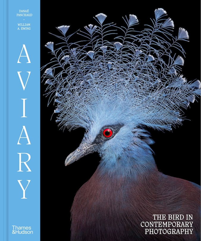 Couverture_Aviary