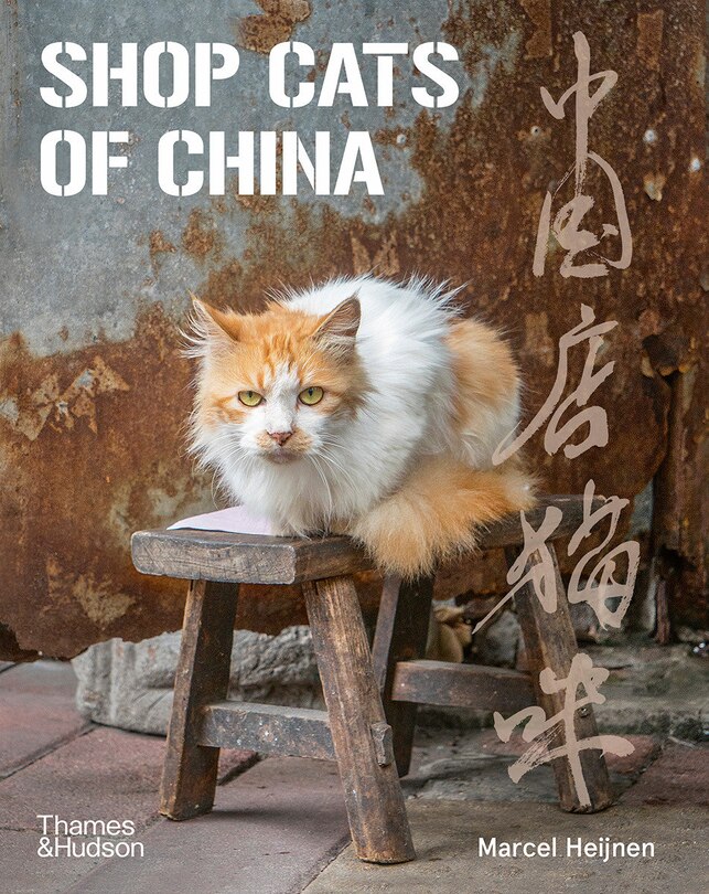Front cover_Shop Cats Of China