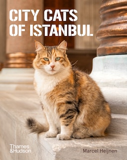 Front cover_City Cats of Istanbul