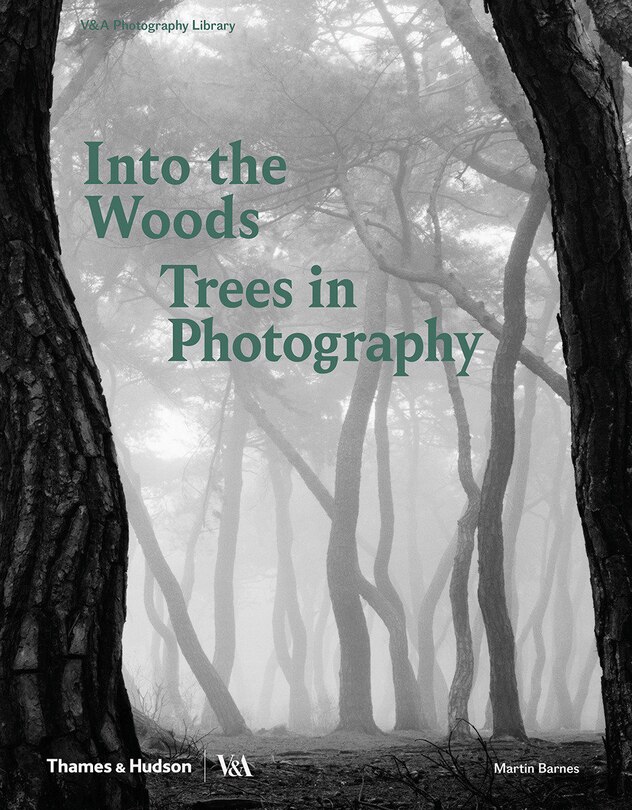 Front cover_Into The Woods