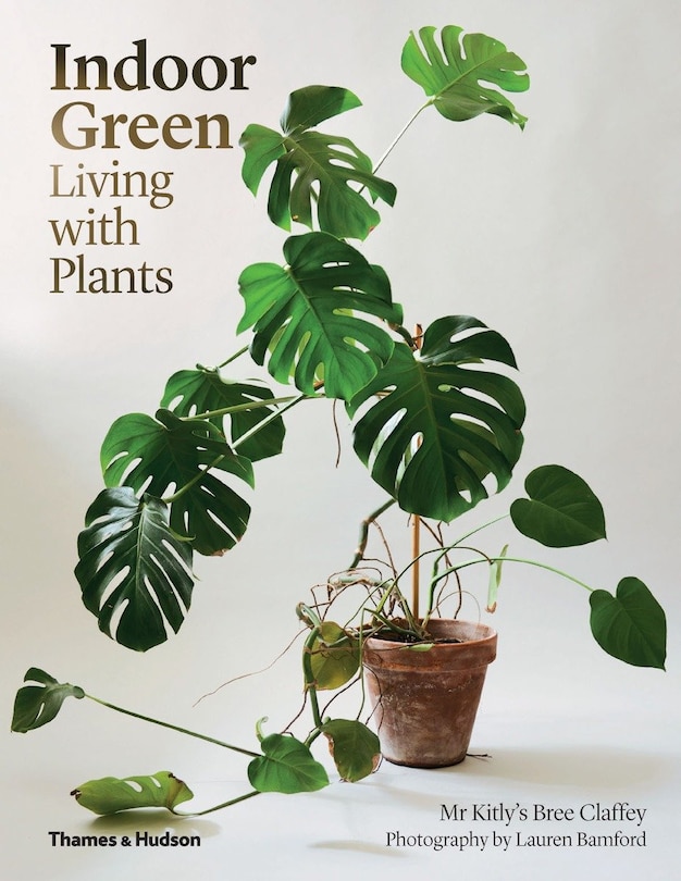 Indoor Green: Living With Plants