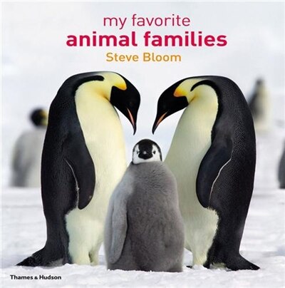 Couverture_My Favorite Animal Families