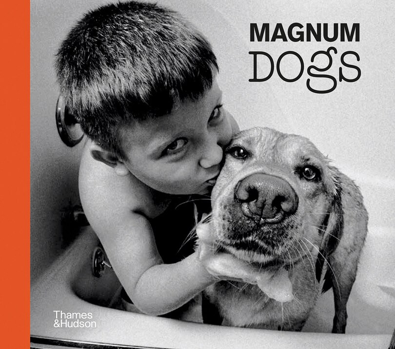 Front cover_Magnum Dogs