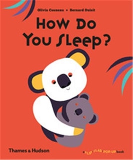 Front cover_How Do You Sleep?