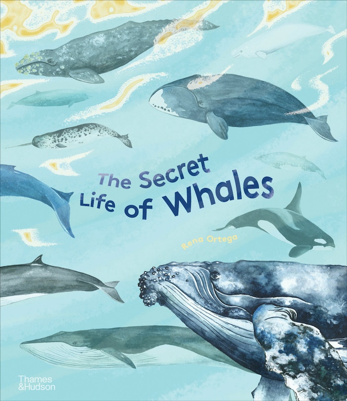 Front cover_The Secret Life Of Whales