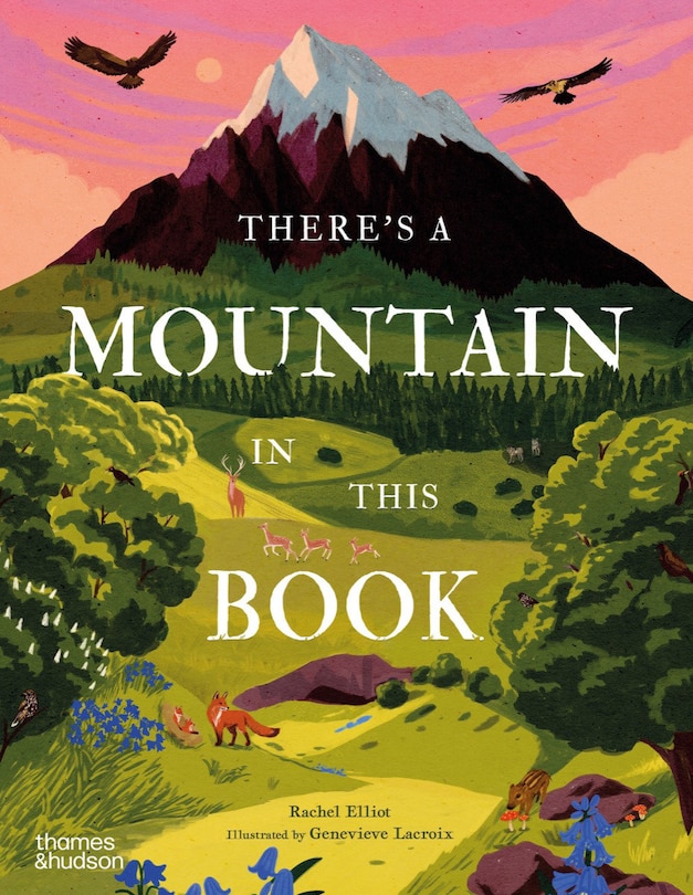 Front cover_There's a Mountain in This Book