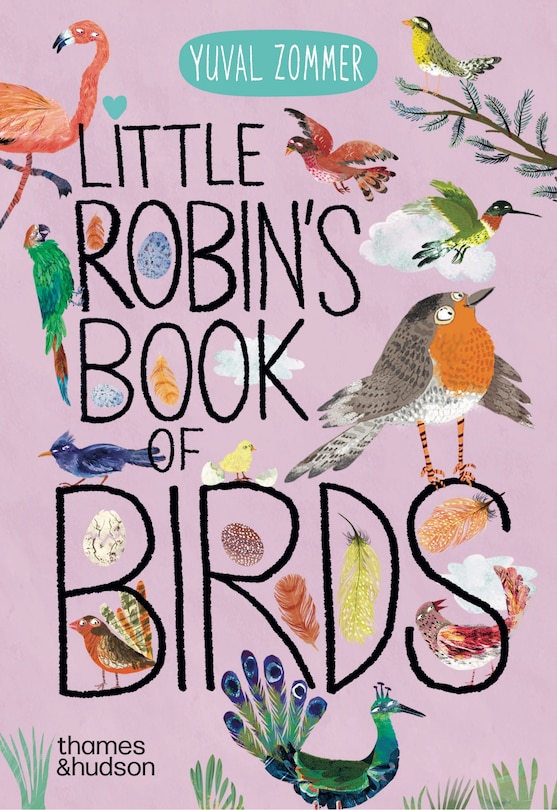 Front cover_Little Robin's Book of the Birds