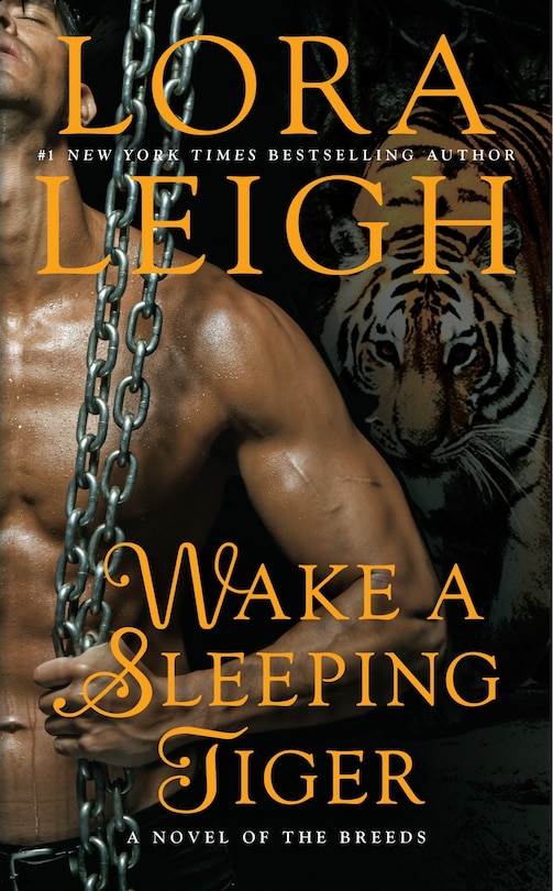 Couverture_Wake A Sleeping Tiger