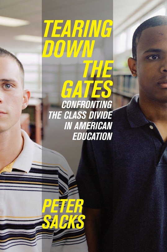 Couverture_Tearing Down the Gates