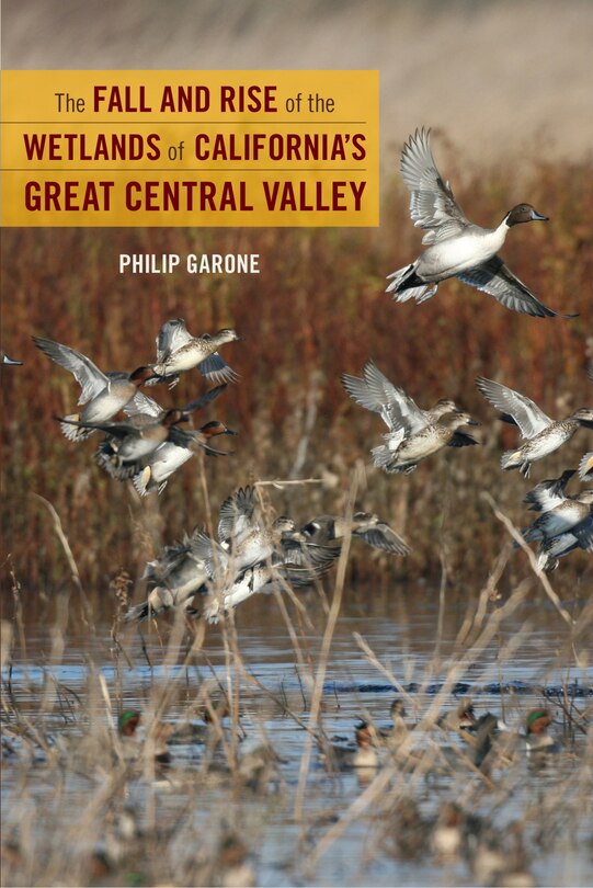 Couverture_The Fall And Rise Of The Wetlands Of California's Great Central Valley