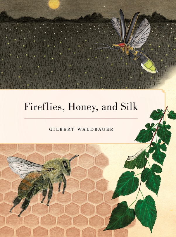 Front cover_Fireflies, Honey, and Silk