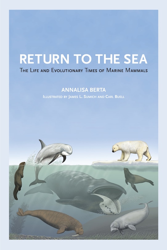 Front cover_Return to the Sea