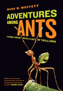Front cover_Adventures among Ants