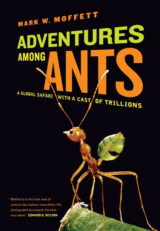 Front cover_Adventures among Ants