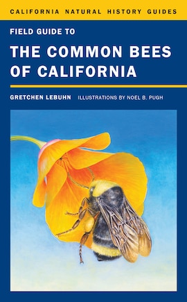 Field Guide to the Common Bees of California: Including Bees of the Western United States