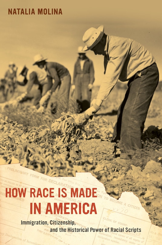 Front cover_How Race Is Made in America