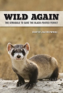 Couverture_Wild Again