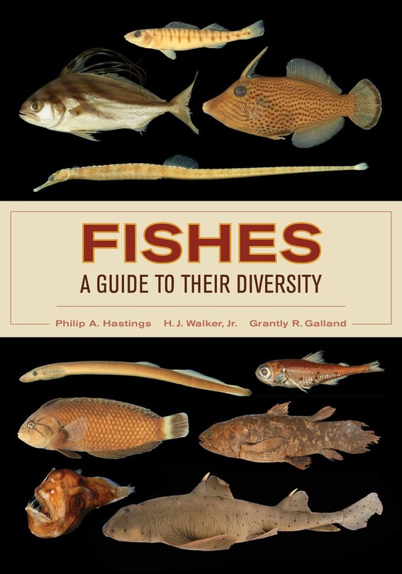 Front cover_Fishes: A Guide to Their Diversity