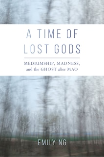 Couverture_A Time Of Lost Gods